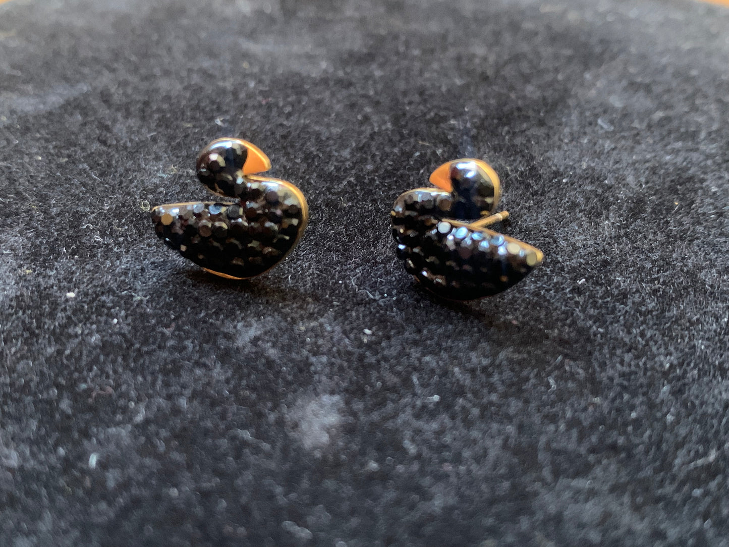 Black Gold Zircon Swan Studs