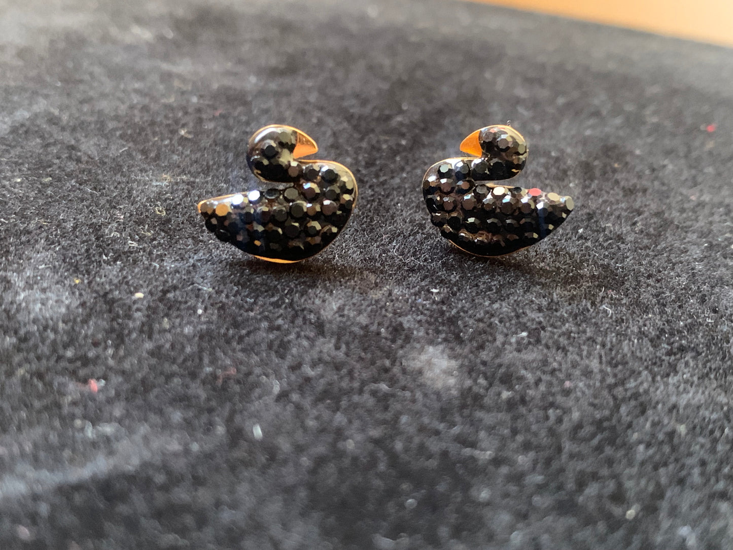 Black Gold Zircon Swan Studs