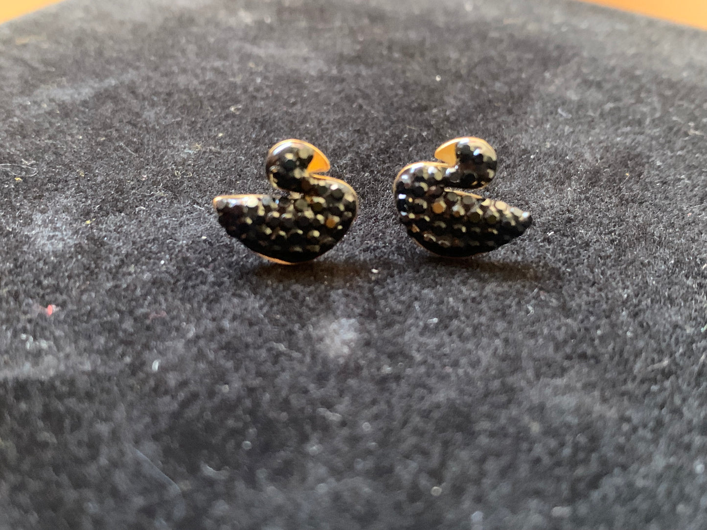 Black Gold Zircon Swan Studs
