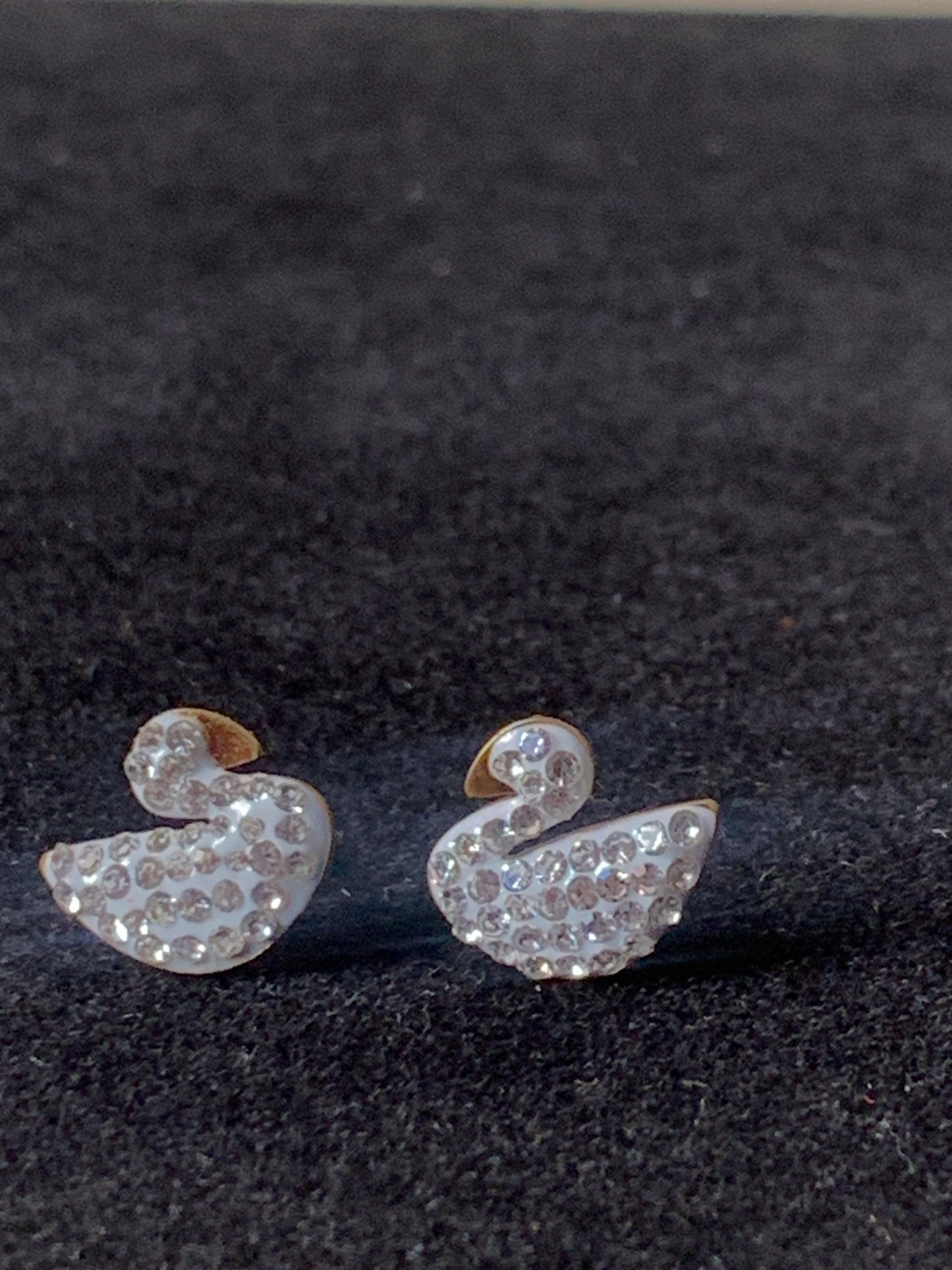 White Gold Zircon Swan Studs