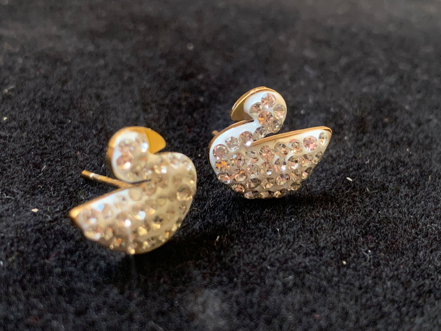 White Gold Zircon Swan Studs